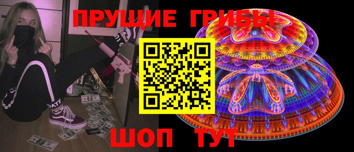 Галлюциногенные грибы Psilocybine cubensis  Вход с VPN  Черняховск 